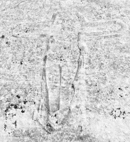 Crucifixion. Chicago lakefront stone carvings, between Foster Avenue and Bryn Mawr. 2019 Crucifixion. Chicago lakefront stone carvings, between Foster Avenue and Bryn Mawr. 2019