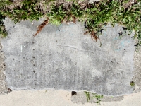 Laughing face and boat. Chicago lakefront stone carvings, between Foster Avenue and Bryn Mawr. 2010