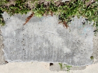 Laughing face and boat. Chicago lakefront stone carvings, between Foster Avenue and Bryn Mawr. 2010 Laughing face and boat. Chicago lakefront stone carvings, between Foster Avenue and Bryn Mawr. 2010