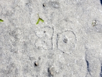 80. Leve 2. Chicago lakefront stone carvings, between Foster Avenue and Bryn Mawr. 2017