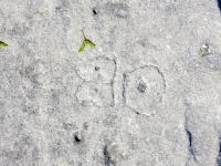 80. Leve 2. Chicago lakefront stone carvings, between Foster Avenue and Bryn Mawr. 2017 80. Leve 2. Chicago lakefront stone carvings, between Foster Avenue and Bryn Mawr. 2017