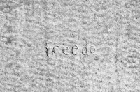 Freedo. Chicago lakefront stone carvings, Foster Avenue Beach. 2017 Freedo. Chicago lakefront stone carvings, Foster Avenue Beach. 2017