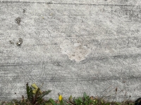 Fancy shape, damaged, Turf. Chicago lakefront stone carvings, between Foster Avenue and Bryn Mawr. 2021 Fancy shape, damaged, Turf. Chicago lakefront stone carvings, between Foster Avenue and Bryn Mawr. 2021