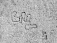 Bill, S, detail. Chicago lakefront stone carving between Foster Avenue and Bryn Mawr. 2019 Bill, S, detail. Chicago lakefront stone carving between Foster Avenue and Bryn Mawr. 2019