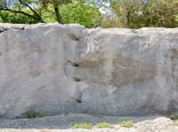 Smiling face, in context. Vertical. Chicago lakefront stone carvings, Foster Avenue Beach. 2017