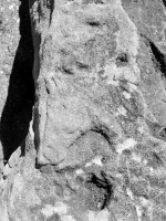Faded little horse above sideways face (book cover). Chicago lakefront stone carvings, between Foster Avenue and Bryn Mawr. 2018
