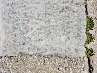 Frank + Sue. Chicago lakefront stone carvings, between Foster Avenue and Bryn Mawr. 2017 Frank + Sue. Chicago lakefront stone carvings, between Foster Avenue and Bryn Mawr. 2017