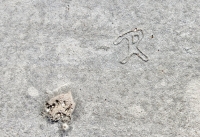 R. Chicago lakefront stone carvings, between Foster Avenue and  Bryn Mawr. 2017