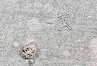 R. Chicago lakefront stone carvings, between Foster Avenue and Bryn Mawr. 2017 R. Chicago lakefront stone carvings, between Foster Avenue and Bryn Mawr. 2017