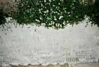 4/6/61, Otto, Doc and many others. A magnificent autograph rock near the northern end of Foster Avenue Beach. One signature attracts many others, in this case something like 60. Chicago Lakefront stone carvings. Before 2003