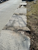 Pook. Chicago lakefront stone carvings, Fullerton Avenue and the Lake. 2024