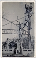 Stork Tree, Garden of Eden, Lucas, Kansas, postcard