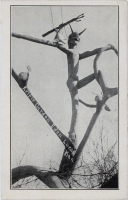 Kelpie, Garden of Eden, Lucas, Kansas, postcard