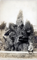 Boy posing with rock garden waterfall postcard