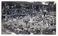 Rock garden at Dolley