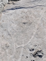 Heart. Lakefront stone carvings, Veterans Memorial Park (former site of the Stateline power plant), Hammond, Indiana. 2024