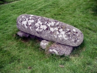 Castledermot grave