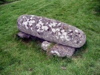 Castledermot grave
