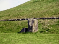 Newgrange standing stones.