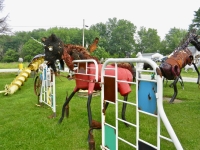 Horses need a fence