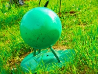 Three-legged ball Three-legged ball