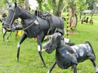 The horses The horses