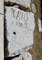Ray O., Jim F, Tom, Bud. Chicago lakefront stone carvings, 57th Street Beach. 2018