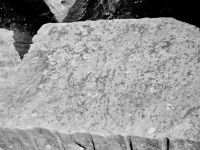 Howie. Chicago lakefront stone carvings, behind La Rabida Hospital, 65th Street and the Lake. 2018