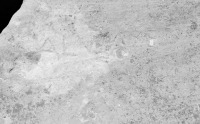 Alv -indecipherable. Chicago lakefront stone carvings, behind La Rabida Hospital, 65th Street and the Lake. 2018 Alv -indecipherable. Chicago lakefront stone carvings, behind La Rabida Hospital, 65th Street and the Lake. 2018