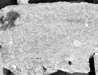 1938, Don, K, CB, Joe. Chicago lakefront stone carvings, behind La Rabida Hospital, 65th Street and the Lake. 2018 1938, Don, K, CB, Joe. Chicago lakefront stone carvings, behind La Rabida Hospital, 65th Street and the Lake. 2018