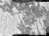 Cursive script. Chicago lakefront stone carvings, behind La Rabida Hospital, 65th Street and the Lake. 2018 Cursive script. Chicago lakefront stone carvings, behind La Rabida Hospital, 65th Street and the Lake. 2018