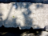 7-5-43, LEA. Chicago lakefront stone carvings, behind La Rabida Hospital, 65th Street and the Lake. 2018 7-5-43, LEA. Chicago lakefront stone carvings, behind La Rabida Hospital, 65th Street and the Lake. 2018
