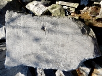 BL, RP, others. Chicago lakefront stone carvings, behind La Rabida Hospital, 65th Street and the Lake. 2018