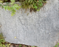 Jack M + Gerrie B, WG, Donald Nard. Chicago lakefront stone carvings, behind La Rabida Hospital, 65th Street and the Lake. 2018