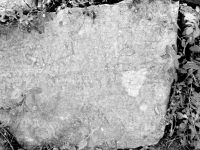 Sayer. Chicago lakefront stone carvings, behind La Rabida Hospital, 65th Street and the Lake. 2018 Sayer. Chicago lakefront stone carvings, behind La Rabida Hospital, 65th Street and the Lake. 2018