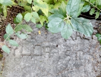 Tylor. Chicago lakefront stone carvings, behind La Rabida Hospital, 65th Street and the Lake. 2018