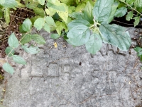 Tylor. Chicago lakefront stone carvings, behind La Rabida Hospital, 65th Street and the Lake. 2018 Tylor. Chicago lakefront stone carvings, behind La Rabida Hospital, 65th Street and the Lake. 2018
