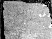 Bird (facing left). Chicago lakefront stone carvings, behind La Rabida Hospital, 65th Street and the Lake. 2018