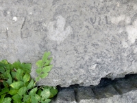 VIL. Chicago lakefront stone carvings, behind La Rabida Hospital, 65th Street and the Lake. 2018