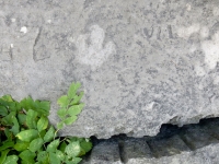 VIL. Chicago lakefront stone carvings, behind La Rabida Hospital, 65th Street and the Lake. 2018 VIL. Chicago lakefront stone carvings, behind La Rabida Hospital, 65th Street and the Lake. 2018