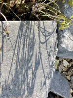 WT. Chicago lakefront stone carvings, behind La Rabida Hospital, 65th Street and the Lake. 2018