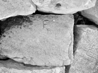 Fred. Chicago lakefront stone carvings, behind La Rabida Hospital, 65th Street and the Lake. 2018