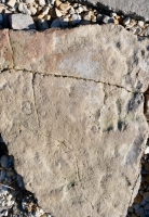 BU. Chicago lakefront stone carvings, behind La Rabida Hospital, 65th Street and the Lake. 2021