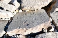 Two Moths, Eddie, Quinn, WT, others. Chicago lakefront stone carvings, behind La Rabida Hospital, 65th Street and the Lake. 2021