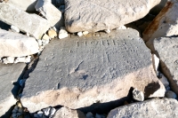 Two Moths, Eddie, Quinn, WT, others. Chicago lakefront stone carvings, behind La Rabida Hospital, 65th Street and the Lake. 2021 Two Moths, Eddie, Quinn, WT, others. Chicago lakefront stone carvings, behind La Rabida Hospital, 65th Street and the Lake. 2021