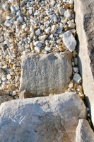 CA. Chicago lakefront stone carvings, behind La Rabida Hospital, 65th Street and the Lake. 2021