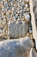 CA. Chicago lakefront stone carvings, behind La Rabida Hospital, 65th Street and the Lake. 2021 CA. Chicago lakefront stone carvings, behind La Rabida Hospital, 65th Street and the Lake. 2021