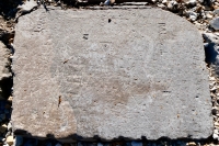 Fish on autograph rock: Cliff, Tony, Mel, Ed, Ralph, others. Chicago lakefront stone carvings, behind La Rabida Hospital, 65th Street and the Lake. 2018 Fish on autograph rock: Cliff, Tony, Mel, Ed, Ralph, others. Chicago lakefront stone carvings, behind La Rabida Hospital, 65th Street and the Lake. 2018