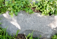 Bye Charlie KY 69. Chicago lakefront stone carvings, behind La Rabida Hospital, 65th Street and the Lake. 2018 Bye Charlie KY 69. Chicago lakefront stone carvings, behind La Rabida Hospital, 65th Street and the Lake. 2018
