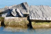 Tim, Indecipherable, The. Chicago lakefront stone carvings, south of La Rabida Hospital. 2021